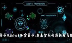 天秤币（Libra）加密货币：未来金融的新机遇与挑