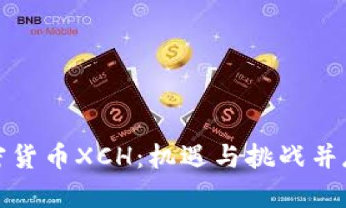 全面解析加密货币XCH：机遇与挑战并存的投资选择