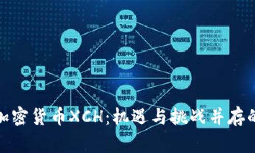 全面解析加密货币XCH：机遇与挑战并存的投资选择