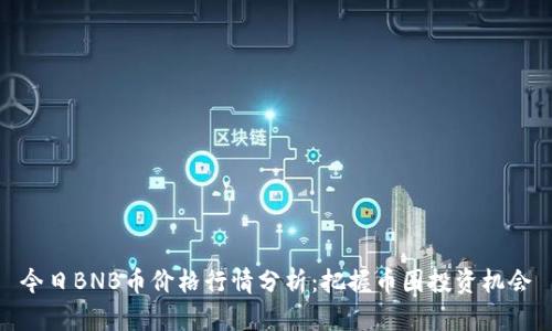 今日BNB币价格行情分析：把握币圈投资机会
