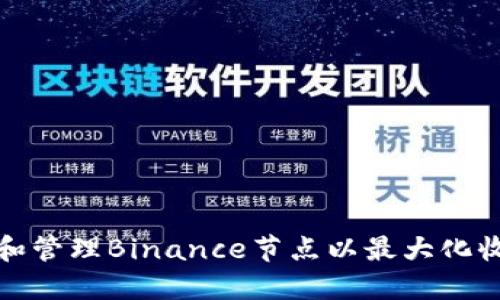 如何选择和管理Binance节点以最大化收益与效益