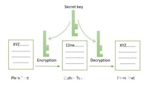 深入了解BNB币：加密货币投资者的收益和价值