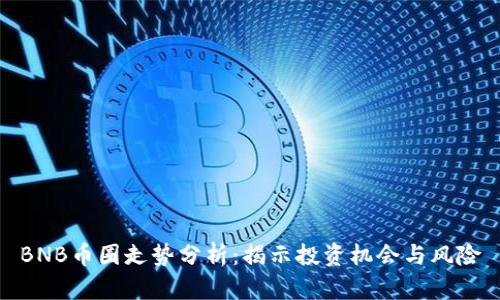 BNB币圈走势分析：揭示投资机会与风险