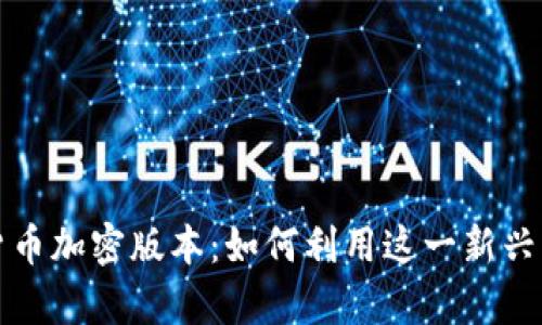 深入了解虚拟数字货币加密版本：如何利用这一新兴资产获取真正的价值