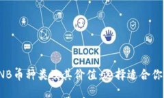 全面了解BNB币种类及其价值：选择适合你的投资