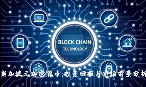 新加坡元加密货币：投资回报与市场前景分析