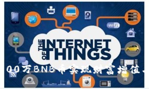 如何通过100万BNB币实现财富增值与投资收益