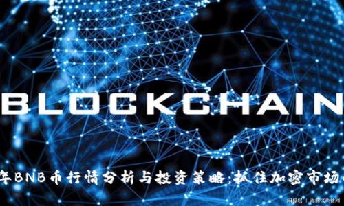 2023年BNB币行情分析与投资策略：抓住加密市场的机会