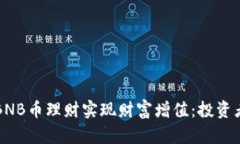 如何通过BNB币理财实现财富增值：投资者必备指