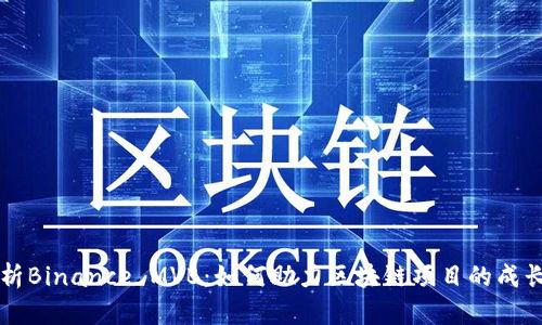 深入解析Binance MVB：如何助力区块链项目的成长与创新