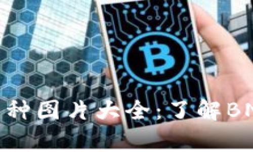 详尽解析BNB币种图片大全：了解BNB的价值与发展