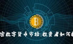 揭秘2023年加密数字货币市场：投资者如何抓住机