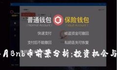 2024年4月Bnb币前景分析：投资机会与风险评估