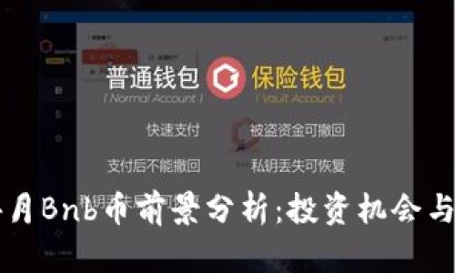 2024年4月Bnb币前景分析：投资机会与风险评估