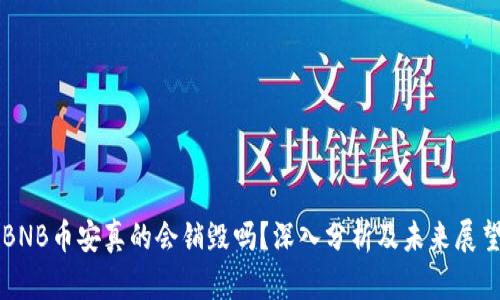 BNB币安真的会销毁吗？深入分析及未来展望