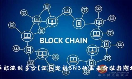 BNB币能涨到多少？深入分析BNB的未来价值与市场趋势
