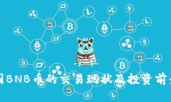 在中国BNB币的交易现状及投资前景分析