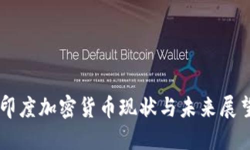 印度加密货币现状与未来展望