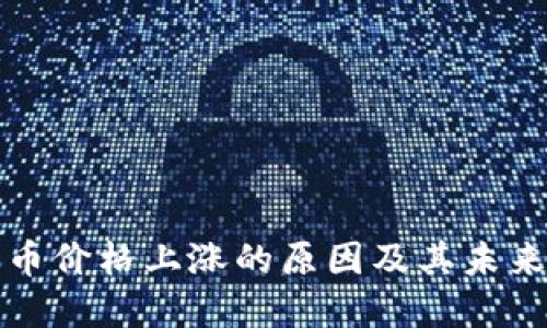 BNB币价格上涨的原因及其未来展望