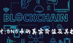 深入探讨：BNB币的真实价值及其投资风险