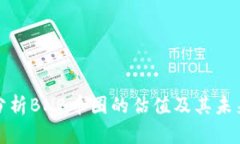 深入分析BNB币圈的估值及其未来趋势