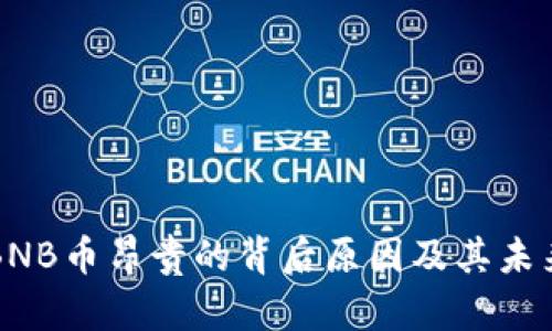 探索BNB币昂贵的背后原因及其未来潜力