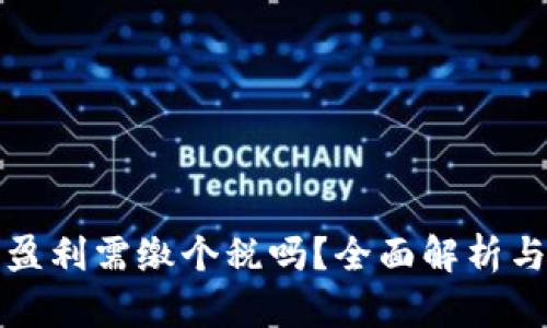 加密货币盈利需缴个税吗？全面解析与实务指导