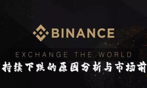 BNB币持续下跌的原因分析与市场前景展望