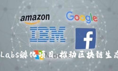 探索Binance Labs孵化项目：推动区块链生态的创新与发展