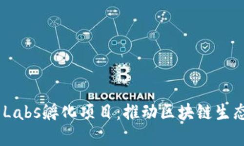 探索Binance Labs孵化项目：推动区块链生态的创新与发展