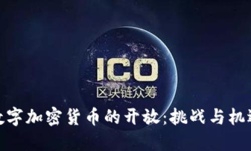 数字加密货币的开放：挑战与机遇