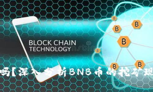 BNB币还能挖吗？深入分析BNB币的挖矿现状与未来前景