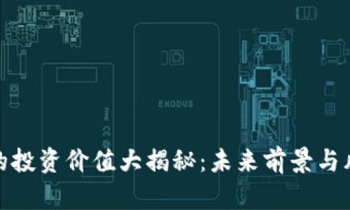 BNB币的投资价值大揭秘：未来前景与风险分析