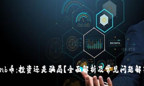 bnb币：投资还是骗局？全面解析及常见问题解答