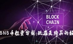 2023年BNB币投资分析：现在是购买的好时机吗？