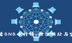 如何有效查看BNB币行情：最佳网站与实用工具推