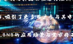 BNB币长线持有的潜力与风险分析/BNB币, 长线投资