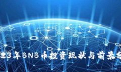 2023年BNB币投资现状与前景分析
