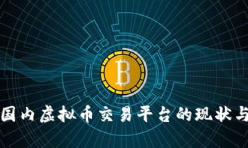 全面解析国内虚拟币交易平台的现状与选择指南