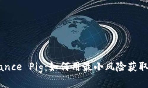 了解Binance Pig：如何用最小风险获取最大收益