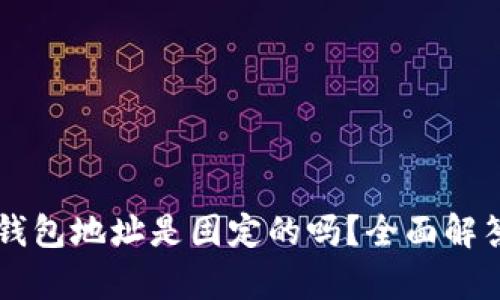 虚拟币钱包地址是固定的吗？全面解答与解析