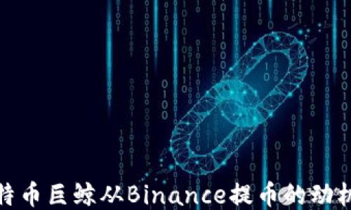 
揭秘比特币巨鲸从Binance提币的动机与影响
