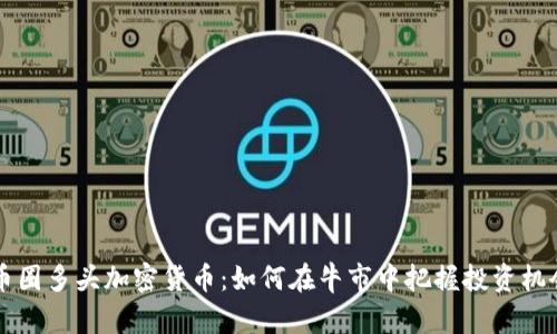 币圈多头加密货币：如何在牛市中把握投资机会