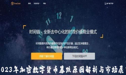 
2023年加密数字货币暴跌原因解析与市场展望
