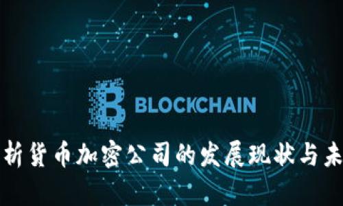 深入分析货币加密公司的发展现状与未来趋势