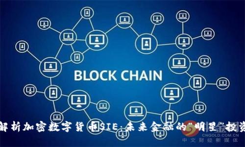全面解析加密数字货币SIE：未来金融的“明星”投资选项