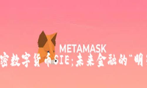 全面解析加密数字货币SIE：未来金融的“明星”投资选项