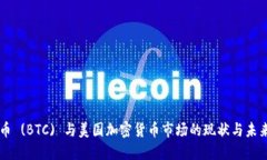 比特币 (BTC) 与美国加密货币市场的现状与未来展