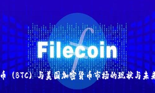 比特币 (BTC) 与美国加密货币市场的现状与未来展望